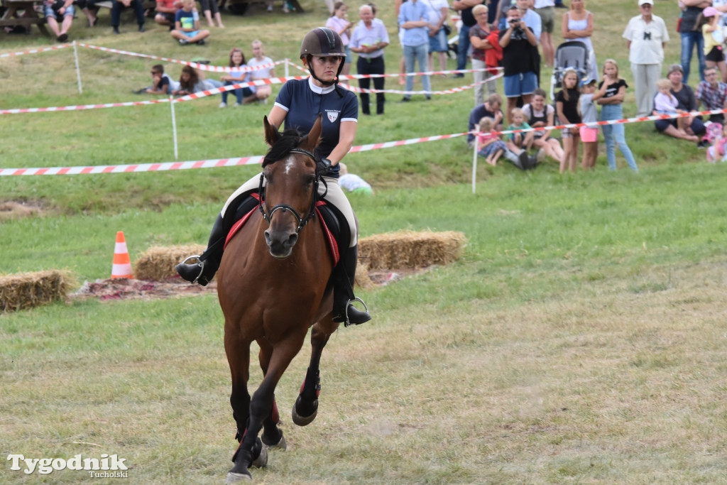 Śliwice: Piknik Koniarzy 2019