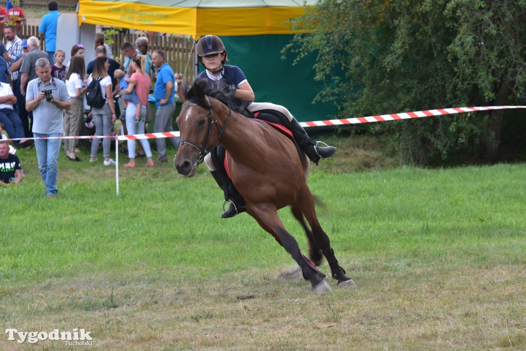 Śliwice: Piknik Koniarzy 2019