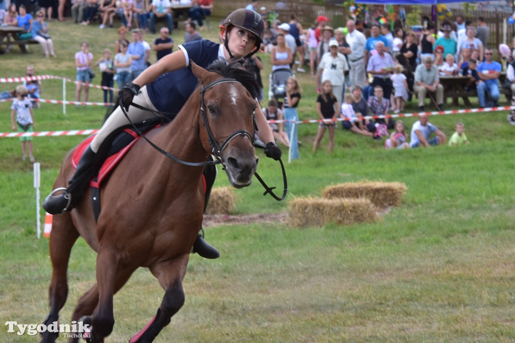 Śliwice: Piknik Koniarzy 2019