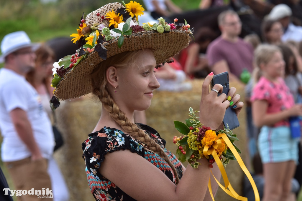 Śliwice: Piknik Koniarzy 2019