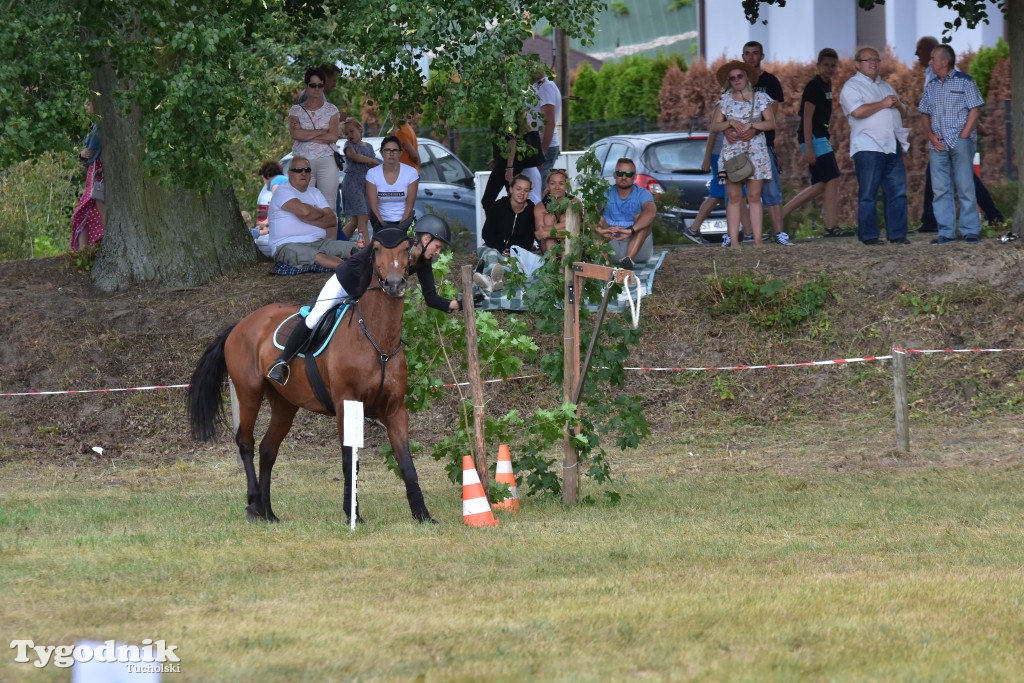 Śliwice: Piknik Koniarzy 2019