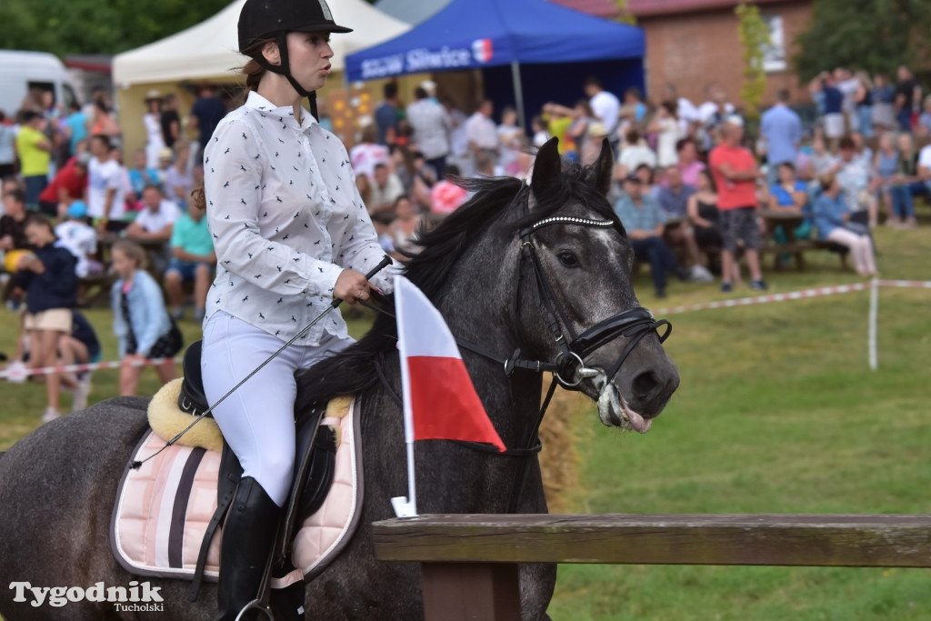 Śliwice: Piknik Koniarzy 2019