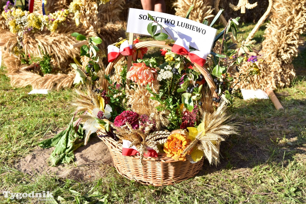 Dożynki gminy Lubiewo w Cierplewie