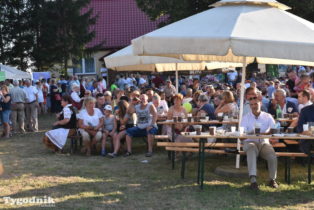 Dożynki gminy Lubiewo w Cierplewie