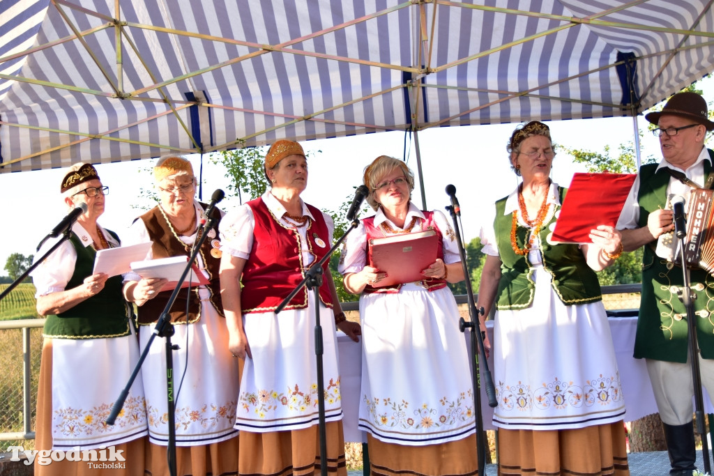 Dożynki gminy Lubiewo w Cierplewie