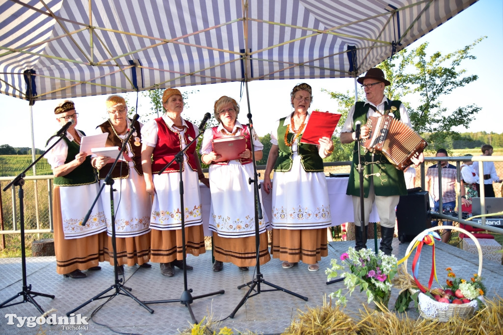 Dożynki gminy Lubiewo w Cierplewie