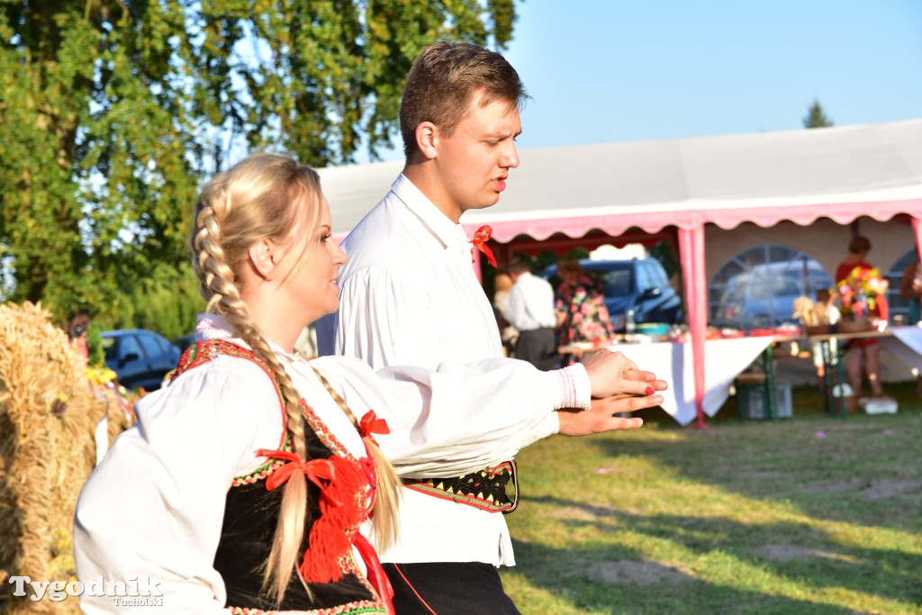 Dożynki gminy Lubiewo w Cierplewie
