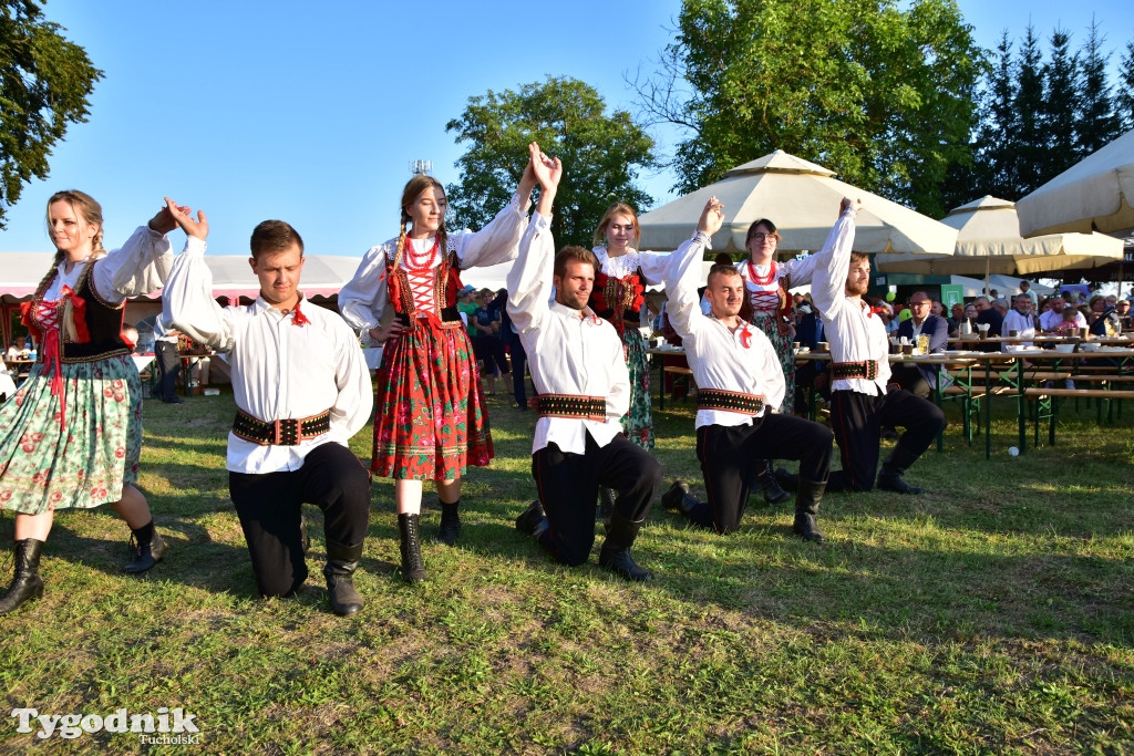 Dożynki gminy Lubiewo w Cierplewie