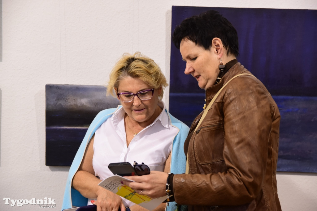 Wernisaż w TOK-u
