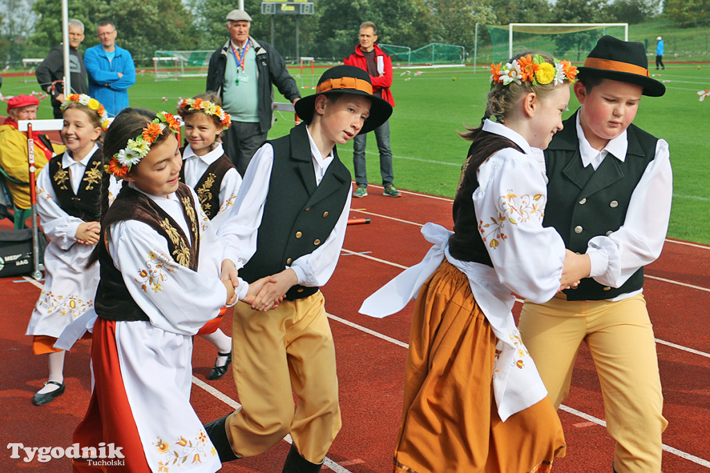 Bieg Borowiaka w Tucholi