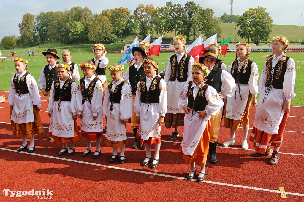 Bieg Borowiaka w Tucholi