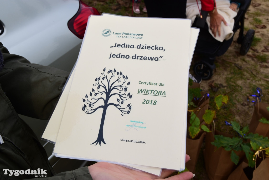 Sadzenie drzew w Trzebcinach