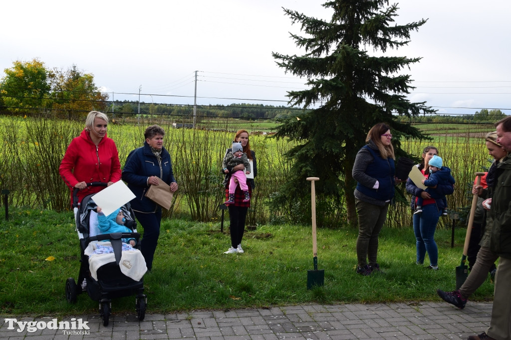 Sadzenie drzew w Trzebcinach