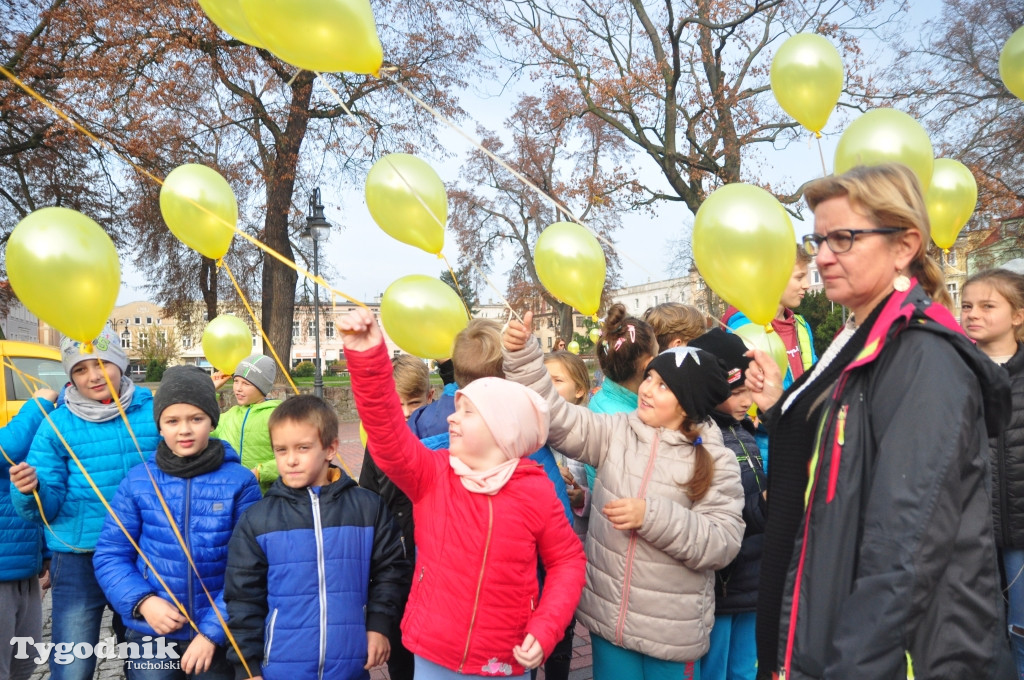 Pola Nadziei w rynku w Tucholi