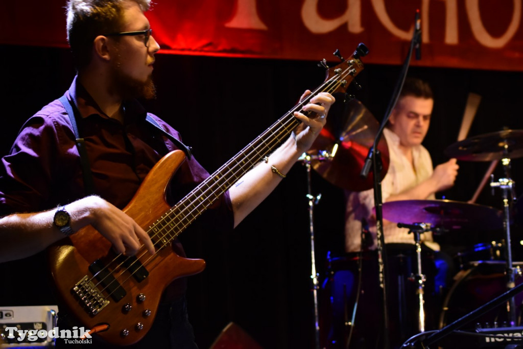 Koncert Wolność Kocham