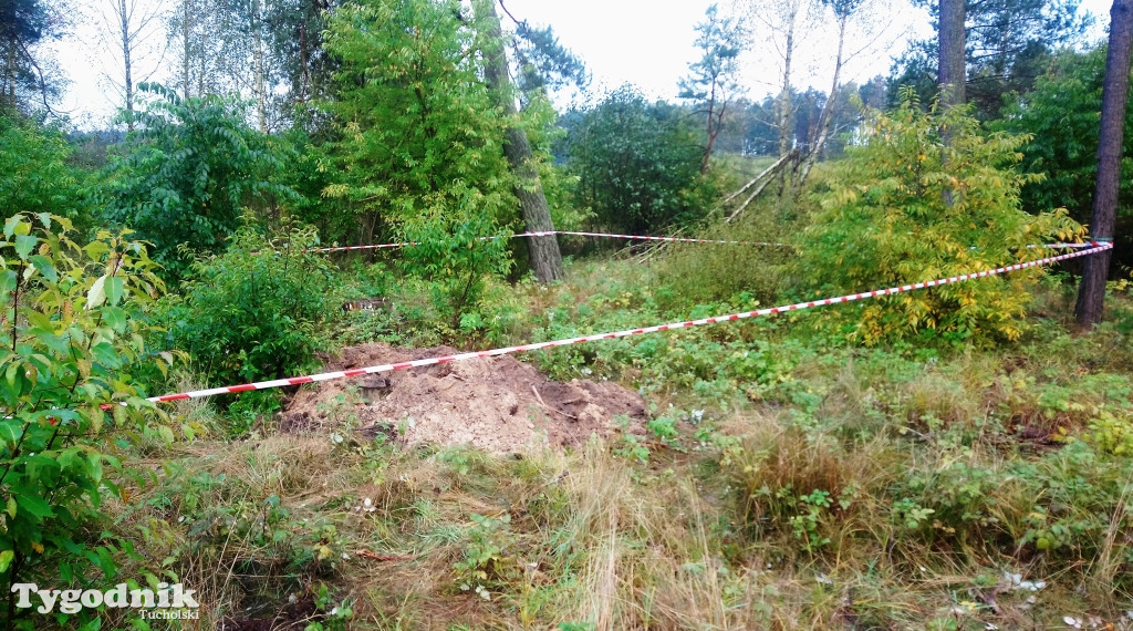 Wybuchowe znaleziska w naszych lasach