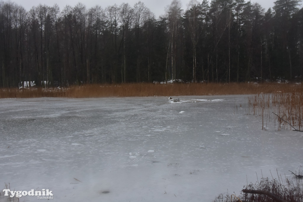 Tragedia nad jeziorem w gm. Tuchola  (23.01.2020)
