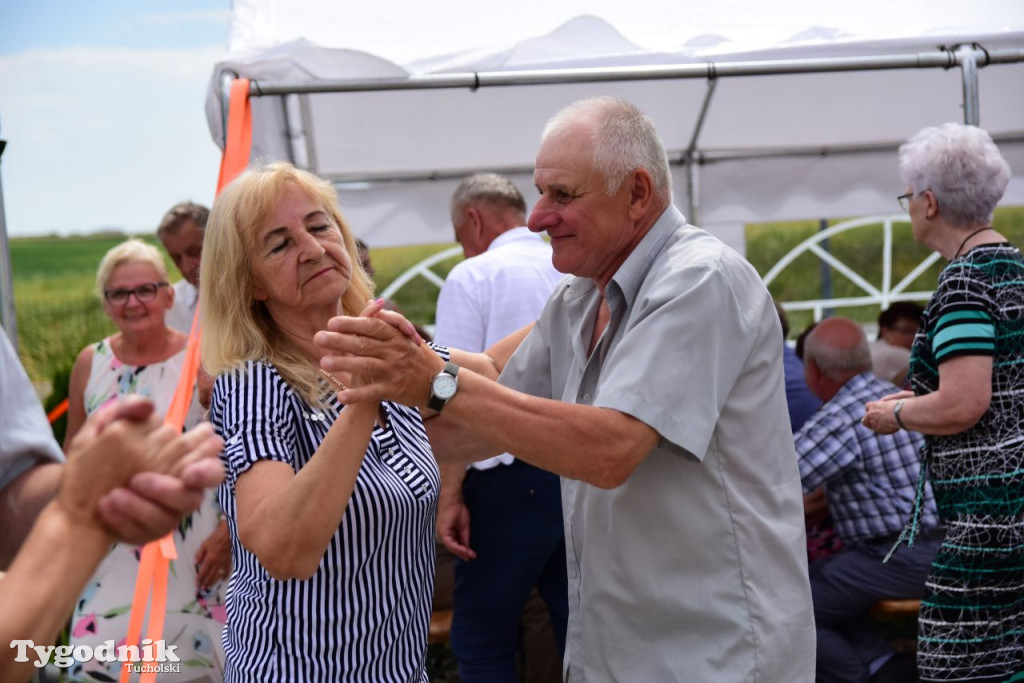 Piknik seniorów
