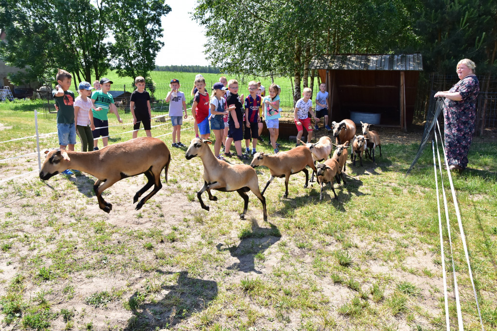 Otwarty Punkt Integracji w Lubiewicach