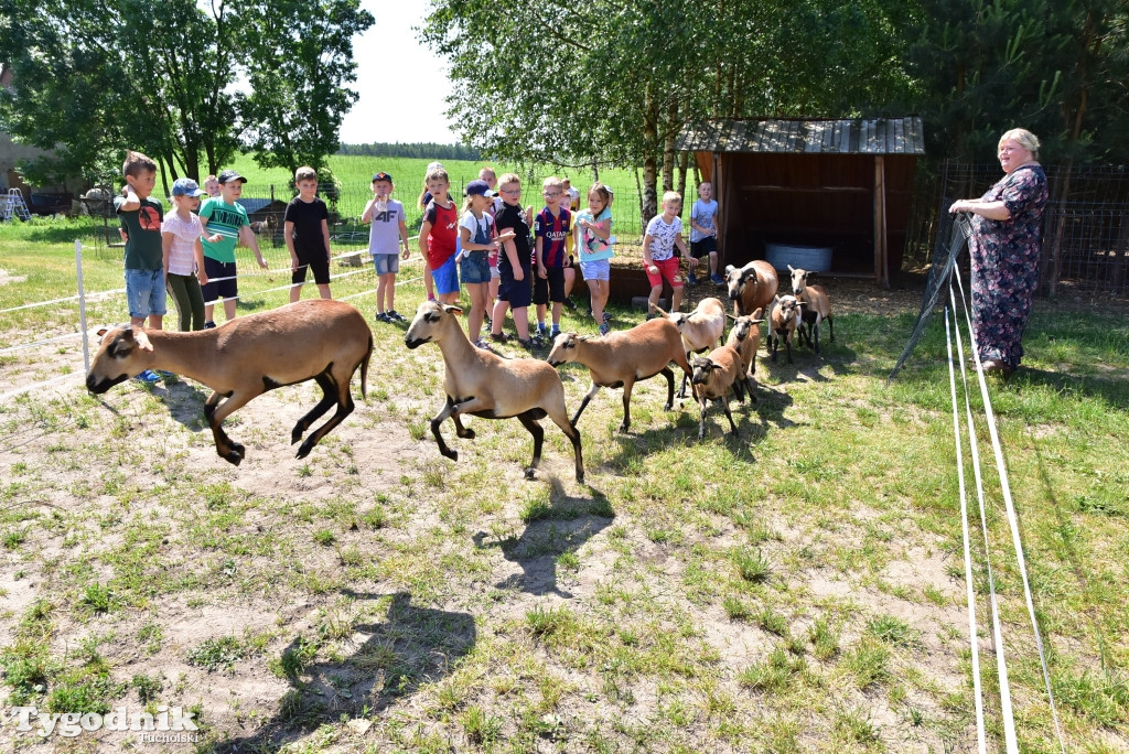 Otwarty Punkt Integracji w Lubiewicach