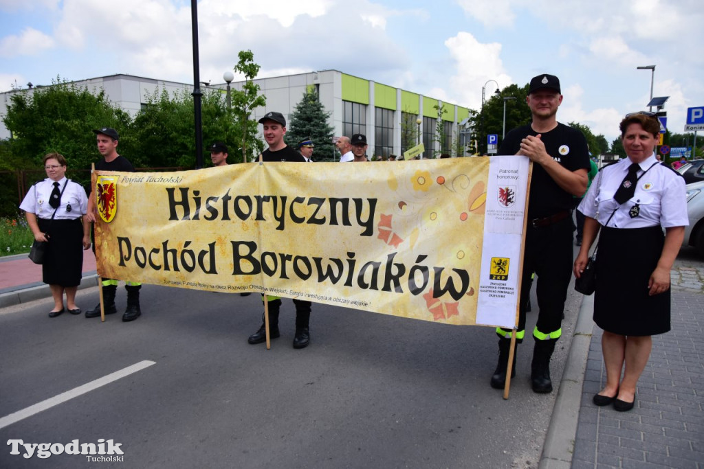 Pochód Borowiaków