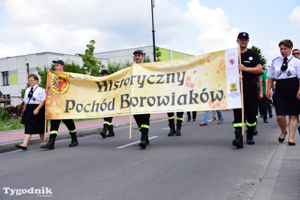 Pochód Borowiaków