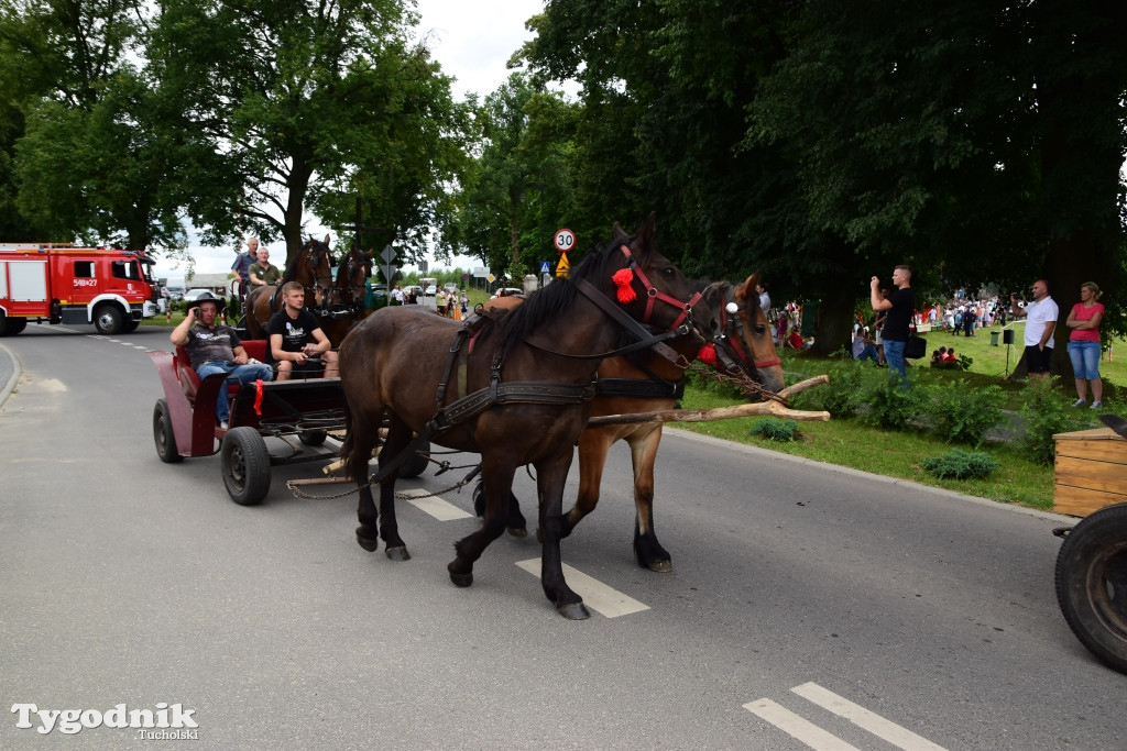 Piknik Koniarzy