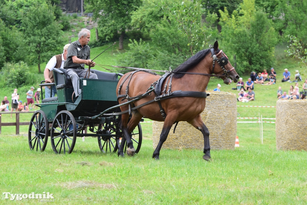 Piknik Koniarzy