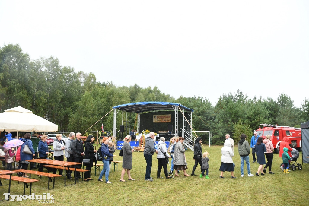 Dożynki gminne w Lubiewicach (29.08.2021)