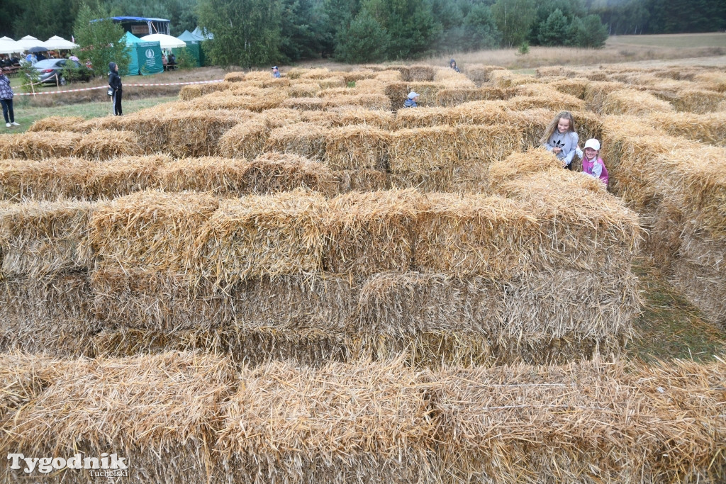 Dożynki gminne w Lubiewicach (29.08.2021)