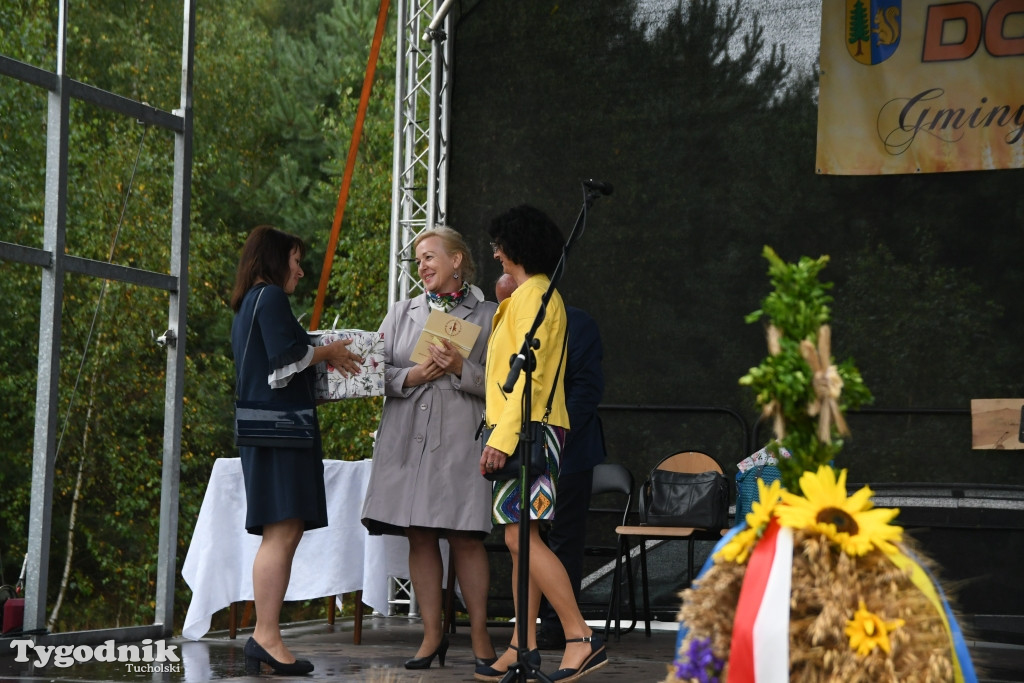 Dożynki gminne w Lubiewicach (29.08.2021)