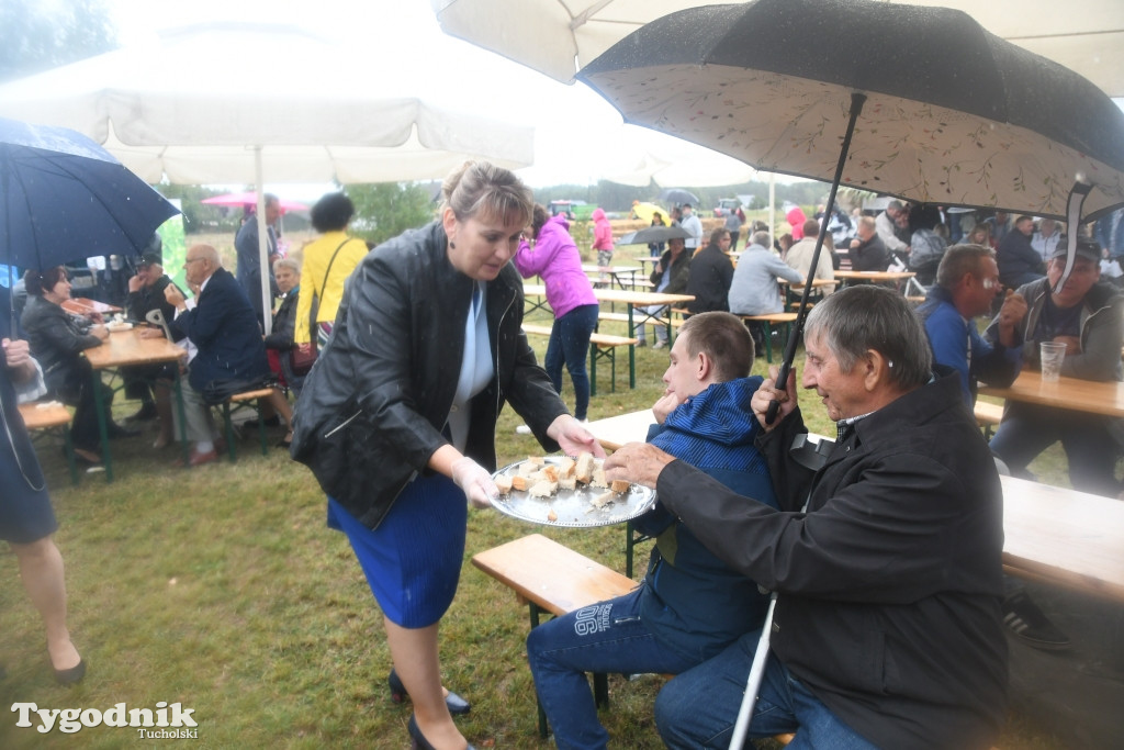 Dożynki gminne w Lubiewicach (29.08.2021)