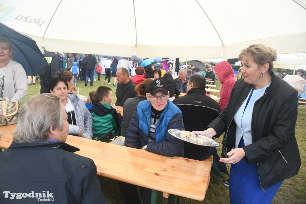Dożynki gminne w Lubiewicach (29.08.2021)