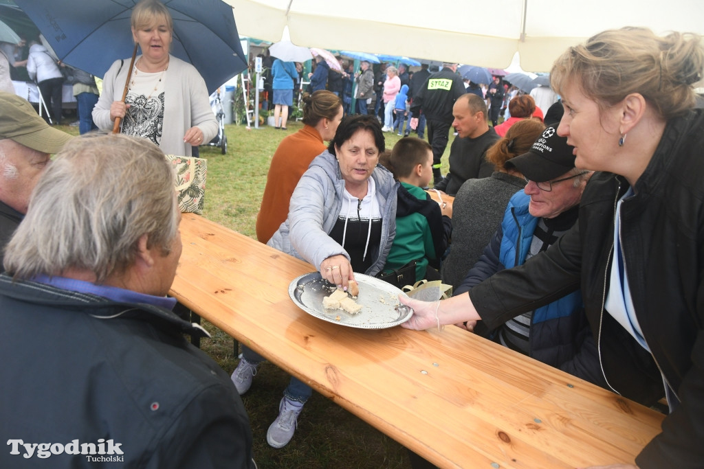 Dożynki gminne w Lubiewicach (29.08.2021)