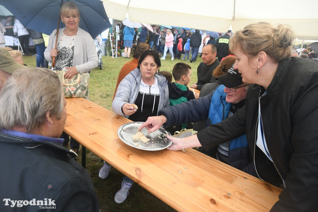 Dożynki gminne w Lubiewicach (29.08.2021)
