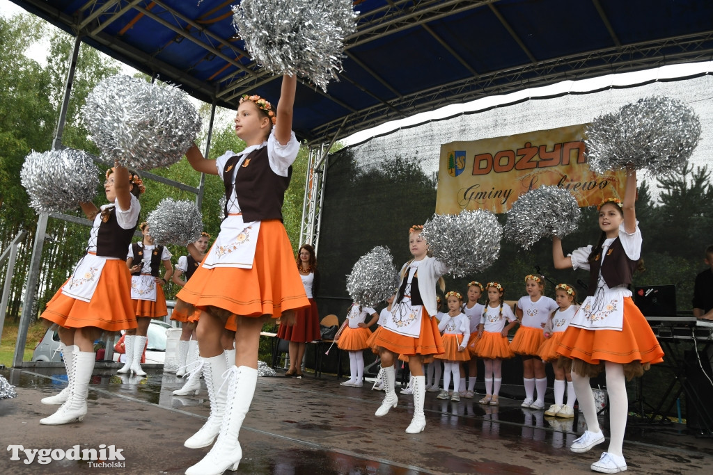 Dożynki gminne w Lubiewicach (29.08.2021)