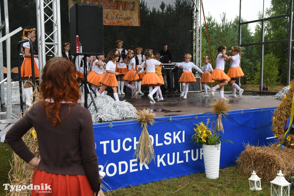 Dożynki gminne w Lubiewicach (29.08.2021)