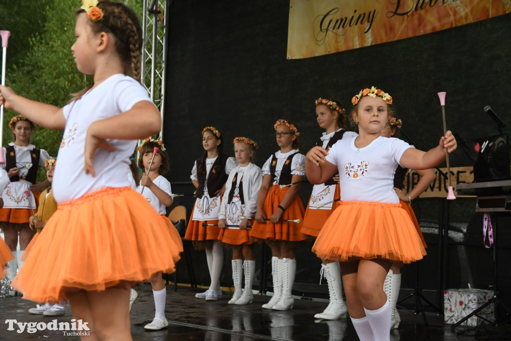 Dożynki gminne w Lubiewicach (29.08.2021)