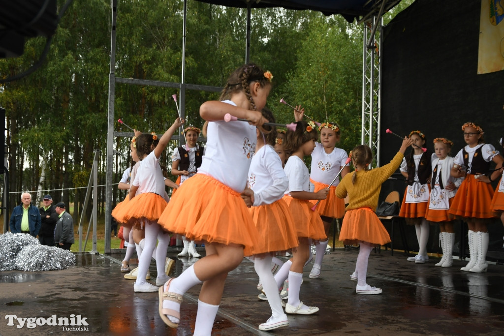 Dożynki gminne w Lubiewicach (29.08.2021)