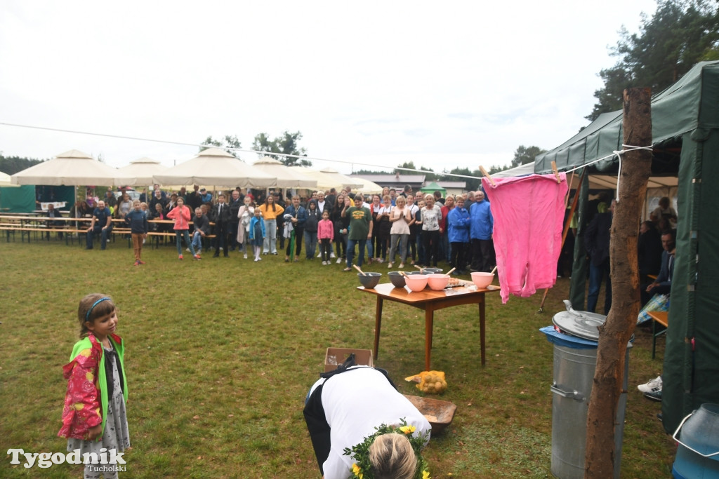 Dożynki gminne w Lubiewicach (29.08.2021)