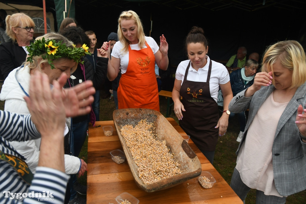 Dożynki gminne w Lubiewicach (29.08.2021)