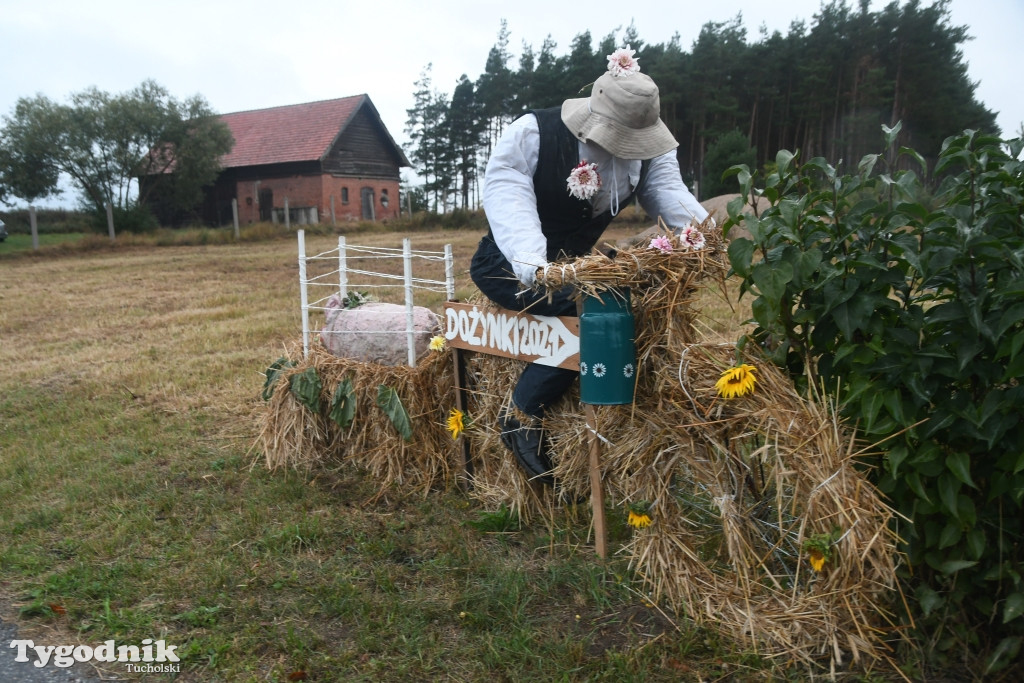 Dożynki gminne w Lubiewicach (29.08.2021)
