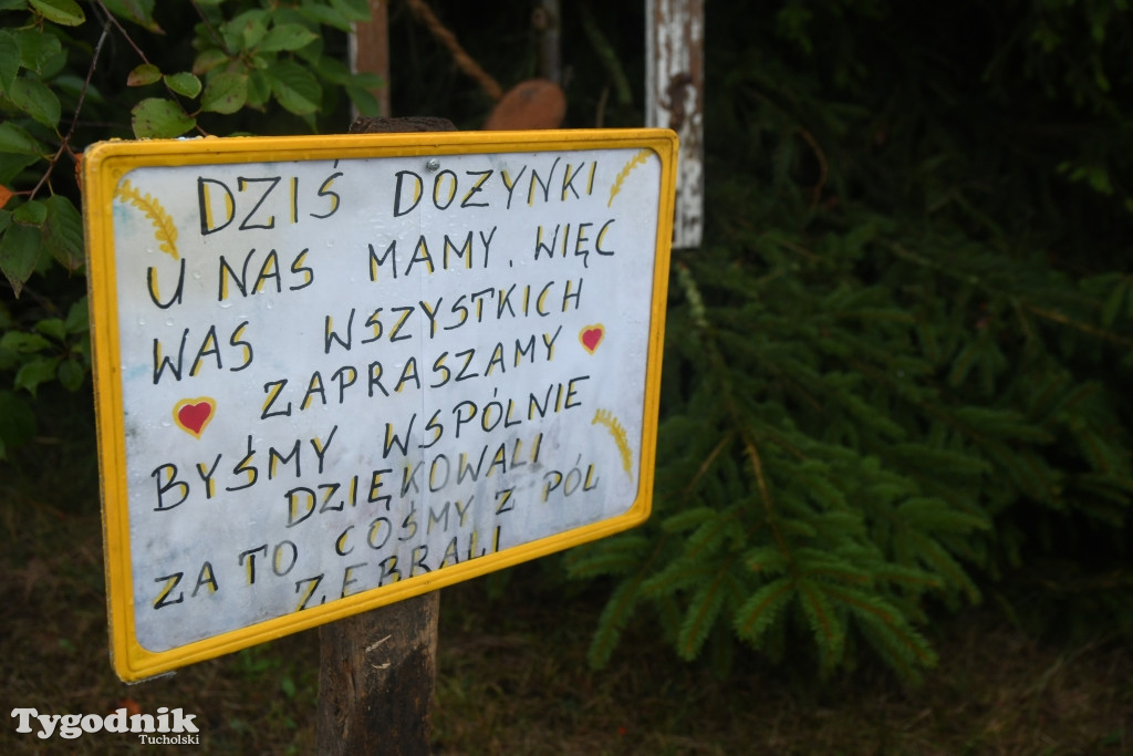 Dożynki gminne w Lubiewicach (29.08.2021)