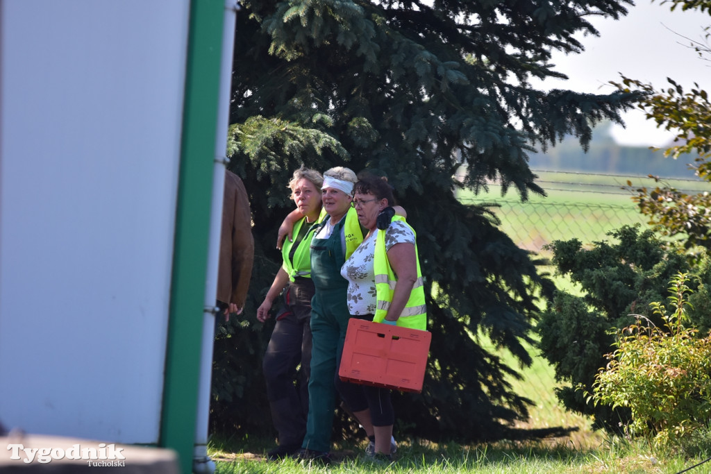 Ćwiczenia strażackie pod Tucholą (09.09.2021 r.)