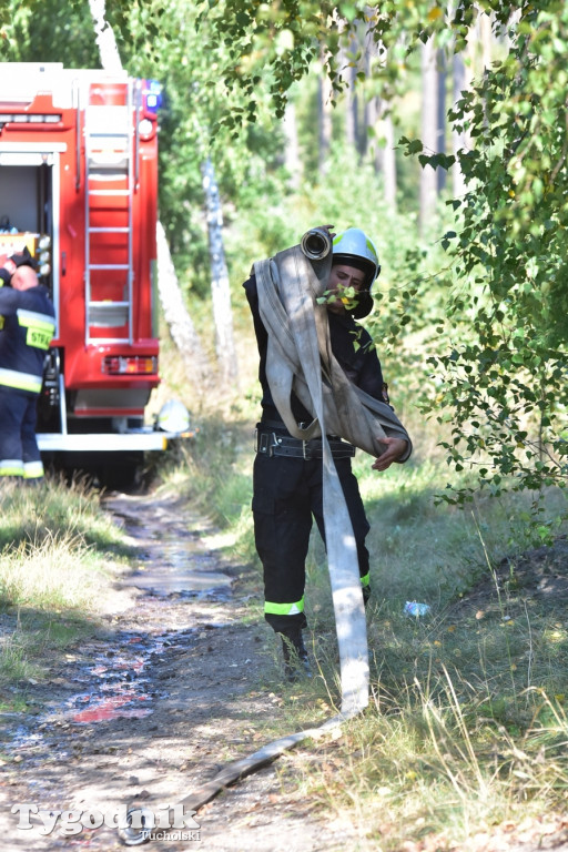 Ćwiczenia strażackie pod Tucholą (09.09.2021 r.)