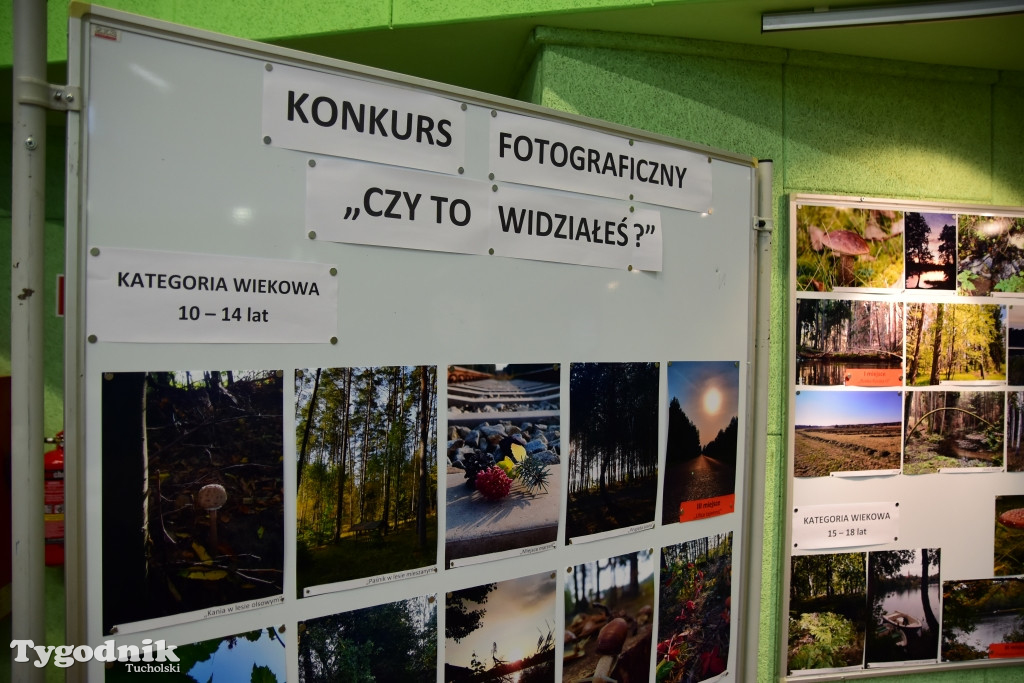 Konkurs fotograficzny