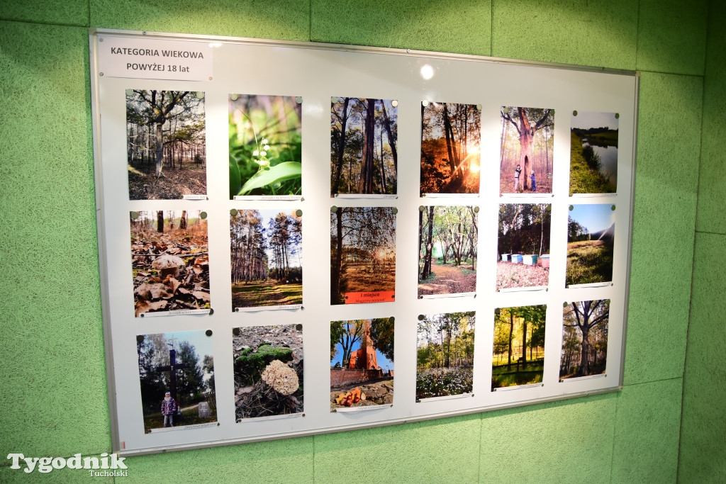 Konkurs fotograficzny