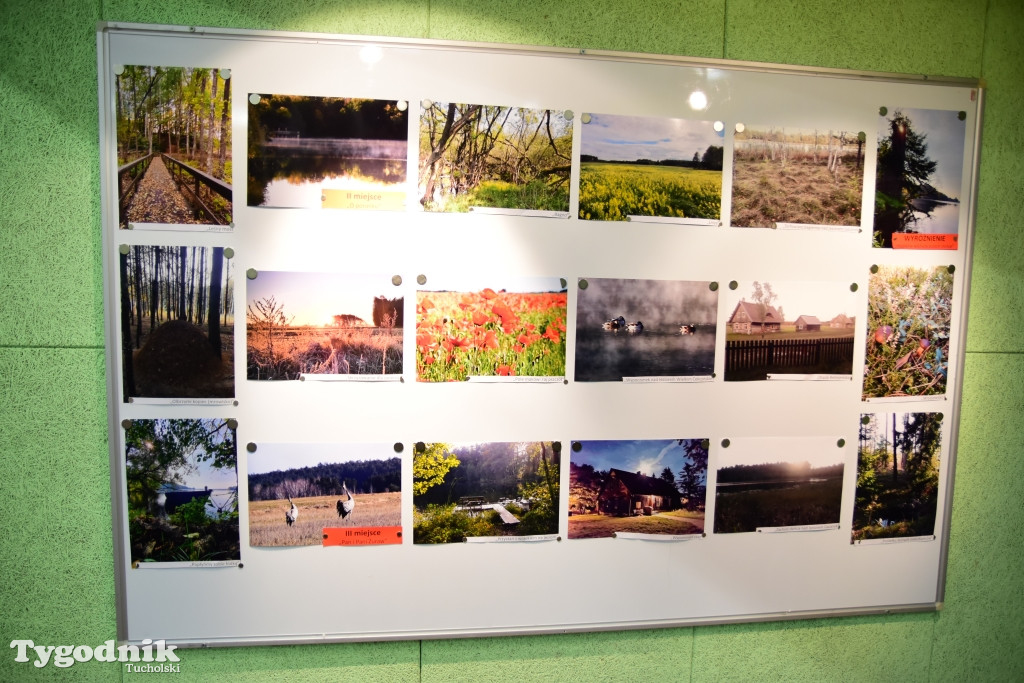 Konkurs fotograficzny
