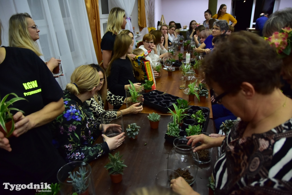 Kęsowo: Ekologiczny Festiwal Jesienny