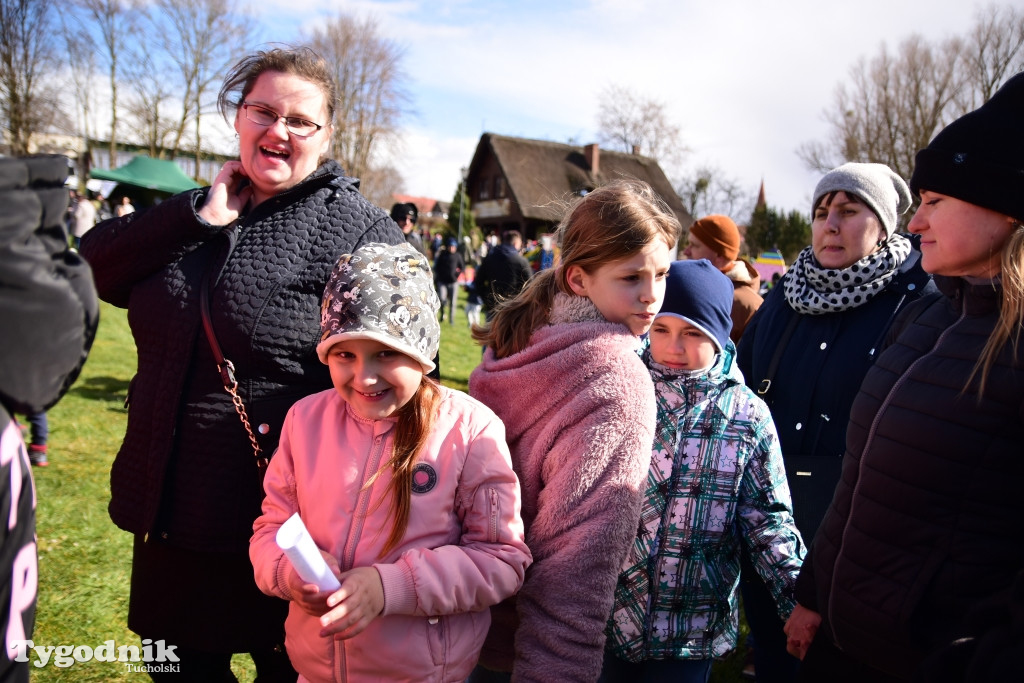 Spotkanie z zającem w Cekcynie